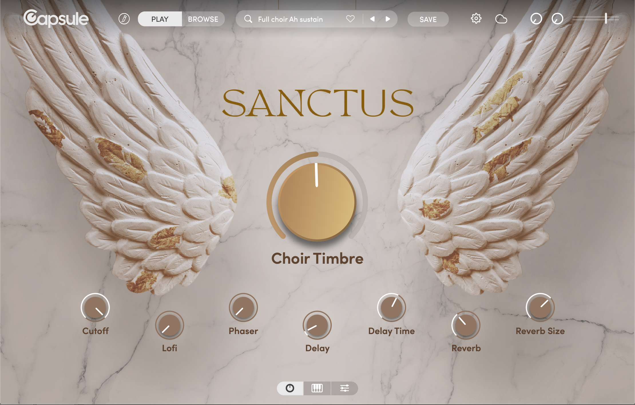 Capsule Sanctus