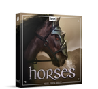 Boom Horses