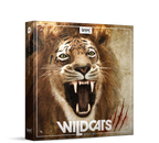 Boom Wildcats