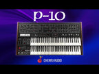 P-10 Synthesizer