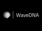 WaveDNA Liquid Music & Rhythm 1.8.0 Bundle