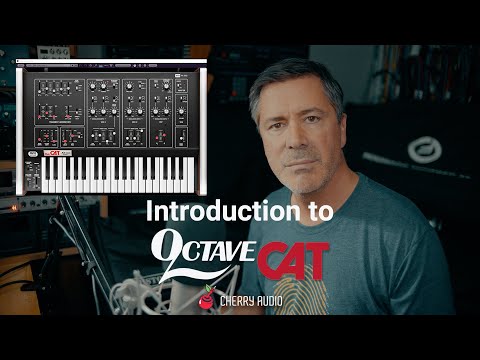 Octave Cat Synthesizer