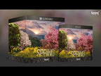 Boom Seasons of Earth Spring SURROUND