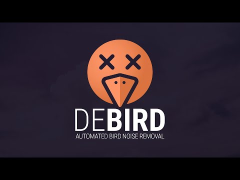 Boom DeBird