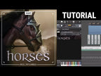 Boom Horses