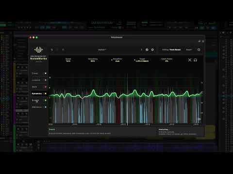 NoiseWorks VoiceAssist