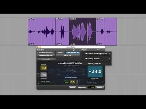 LoudnessGracious
