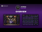 Modalics Groove Mastery Bundle