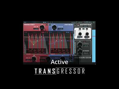 Boz Transgressor 3