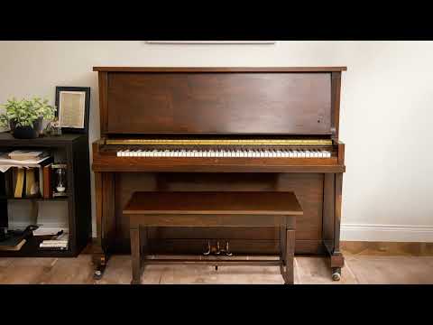 Boz Chicago Upright 1927 Lite