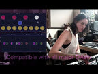 Modalics Groove Mastery Bundle