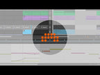 Bitwig Studio (Upgrade From Essentials/16-Track)
